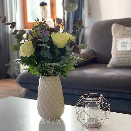 Apartmenthaus Fronwald آلبيرسباخ