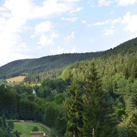 Apartmenthaus Fronwald *