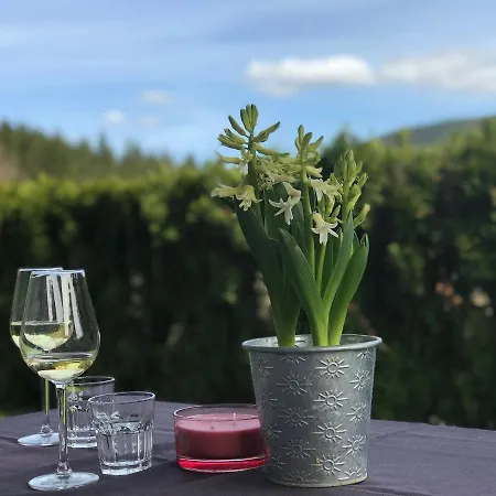 شقة Apartmenthaus Fronwald